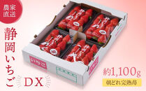 【2027年&nbsp;先行予約】&nbsp;農家直送！甘くて大好評　静岡いちご　DX　高糖度　1100g&nbsp;程度（270～280g×4パック）甘くて地元大人気！やみつきリピーター多数　御前崎産　数量限定