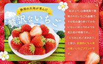 先行受付（2025年１月中旬以降発送）2Lサイズ　 静岡いちご「紅ほっぺ」40粒（20粒×2トレイ） 数量限定　人気　リピート多数