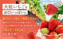 先行受付（2025年１月中旬以降発送）2Lサイズ　 静岡いちご「紅ほっぺ」40粒（20粒×2トレイ） 数量限定　人気　リピート多数