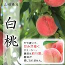 【令和7年産先行受付】山形県産白桃秀品　約5kg※品種おまかせ 軟らかくなる桃　12玉～20玉　あかつき 川中島白桃 伊達白桃他【ポイント交換専用】