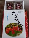 『令和7年産先行受付』山形県産さくらんぼ＜紅さやか秀品＞約800g　Lサイズ以上　200g×4P