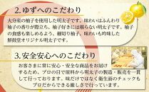 博多辛子明太子 ゆず皮入り 切大 500g ゆず明太 柚子 ユズ めんたいこ 切子 家庭用 訳あり