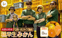 訳あり&nbsp;森本農園の手選別&nbsp;極早生みかん&nbsp;8kg&nbsp;和歌山県産&nbsp;2S~2Lサイズ混合&nbsp;［北海道・沖縄・離島配送不可］［RN5］［2025年10月上旬から順次発送］