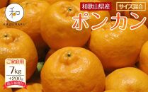 家庭用 森本農園の手選別 ポンカン 7kg  +200g傷み補償付 和歌山県産 サイズ混合 【北海道・沖縄・離島配送不可】【RN32】