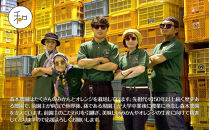 家庭用&nbsp;森本農園の手選別ネーブルオレンジ&nbsp;6kg&nbsp;和歌山県産&nbsp;サイズ混合&nbsp;［北海道・沖縄・離島配送不可］［RN34］［2026年1月上旬から順次発送］