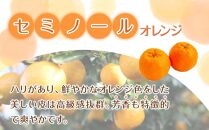 家庭用 森本農園の手選別 セミノールオレンジ 5kg +200g傷み補償付 和歌山県産 サイズ混合 【北海道・沖縄・離島配送不可】【RN27】