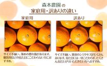 【家庭用】 森本農園の手選別 極早生みかん 約2kg +200g傷み補償付 和歌山県産 2S~2Lサイズ混合 【北海道・沖縄・離島配送不可】【2024年10月上旬～下旬頃順次発送】【RN1】