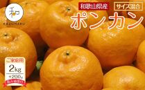 【家庭用】 森本農園の手選別 ポンカン 約2kg +200g傷み補償付 和歌山県産 サイズ混合 【北海道・沖縄・離島配送不可】【2025年1月上旬～2月上旬頃順次発送】【RN11】