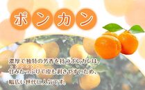 【家庭用】 森本農園の手選別 ポンカン 約7kg  +200g傷み補償付 和歌山県産 サイズ混合 【北海道・沖縄・離島配送不可】【2025年1月上旬～2月上旬頃順次発送】【RN32】