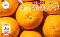 【訳あり】 森本農園の手選別 ネーブルオレンジ 約3kg +200g傷み補償付 和歌山県産 サイズ混合 【北海道・沖縄・離島配送不可】【2025年1月上旬～2月中旬頃順次発送】【RN18】