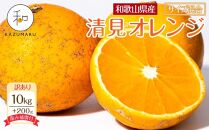 【訳あり】 森本農園の手選別 清見オレンジ 約10kg +200g傷み補償付 和歌山県産 サイズ混合 【北海道・沖縄・離島配送不可】【2025年2月上旬～5月中旬頃順次発送】【RN25】