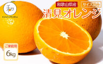 家庭用&nbsp;森本農園の手選別&nbsp;清見オレンジ&nbsp;6kg&nbsp;和歌山県産&nbsp;サイズ混合&nbsp;［北海道・沖縄・離島配送不可］［RN38］［2026年2月上旬から5月中旬頃順次発送予定］