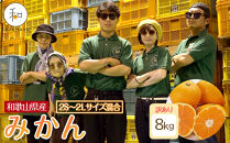 訳あり&nbsp;森本農園の手選別&nbsp;みかん&nbsp;8kg&nbsp;和歌山県産&nbsp;2S~2Lサイズ混合&nbsp;［北海道・沖縄・離島配送不可］［RN10］［2025年11月上旬から順次発送］