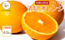 家庭用&nbsp;森本農園の手選別&nbsp;清見オレンジ&nbsp;4.5kg&nbsp;和歌山県産&nbsp;サイズ混合&nbsp;［北海道・沖縄・離島配送不可］［RN22］［2026年2月上旬から順次発送予定］