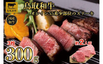 鳥取和牛オレイン55　希少部位のステーキ　3枚（300g）1291｜鳥取和牛&nbsp;肉&nbsp;お肉&nbsp;にく&nbsp;ステーキ&nbsp;食品&nbsp;鳥取県産&nbsp;人気&nbsp;おすすめ&nbsp;送料無料&nbsp;ギフト&nbsp;鳥取県&nbsp;三朝町