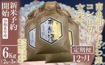 【新米予約・令和6年産】定期便12ヶ月：●玄米●6Kg 生産者限定 南魚沼しおざわ産コシヒカリ