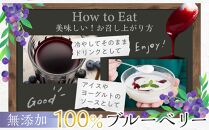 ブルーベリー 原液 600ml ( 300ml × 2本 ) 果物 果実 くだもの フルーツ 飲料 果実飲料 ドリンク 完熟 小粒 アントシアニン 人気 おすすめ 宮城