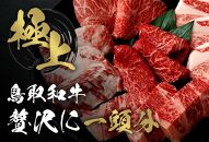 【和牛セレブ】鳥取和牛一頭分のセレブ体験（12分割納品）