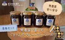 【湯布院 熊谷牧場・雛戸】無農薬で育てたくまさんのブルーベリーソース 8本セット