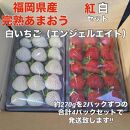 【先行予約】福岡県産完熟あまおう・白いちご（エンジェルエイト）各2パック（約270g×計4パック）【2025年１月６日～発送】