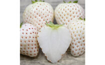 福岡県産完熟あまおう:白いちご（エンジェルエイト）各2パック（約270g×計4パック）