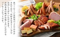 【定期便 全3回】【由布院燻製工房 燻家】ハム・ソーセージセットC 計910g＜小分け10品をセットしてお届け＞
