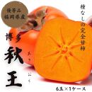 【2025年11月上旬より順次発送】福岡県産 博多秋王【優等品】約1.75kg以上(6玉入り)うまうまもぐもぐ