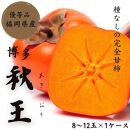 【2025年11月上旬より順次発送】福岡県産 博多秋王【優等品】約3.5kg以上(8玉〜12玉入り)うまうまもぐもぐ