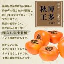 【2024年10月下旬より順次発送】福岡県産 博多秋王【優等品】約7.0kg以上(8玉〜12玉入り)×2箱 うまうまもぐもぐ