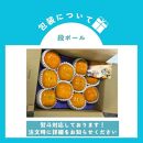 【2024年10月下旬より順次発送】福岡県産 博多秋王【優等品】約7.0kg以上(8玉〜12玉入り)×2箱 うまうまもぐもぐ