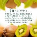 【2024年11月上旬より順次発送】博多甘うぃキウイ(あまうぃ)大玉 9玉入り 1.4kg相当 うまうまもぐもぐ