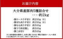 普段使いに便利なパック分け！大分県産豚肉5種詰合せ 合計約2kg_2445R