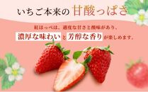 いちご ほっぺたが落ちる 紅ほっぺ 2パック 果物 イチゴ 苺 おやつ ギフト 贈答品 お祝い 5000円 プレゼント 国産 フルーツ くだもの