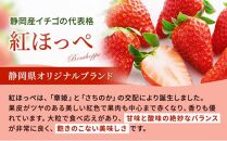 いちご ほっぺたが落ちる 紅ほっぺ  4パック 果物 イチゴ 苺 おやつ ギフト 贈答品 お祝い プレゼント 国産 フルーツ くだもの