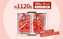 いちご ほっぺたが落ちる 紅ほっぺ  4パック 果物 イチゴ 苺 おやつ ギフト 贈答品 お祝い プレゼント 国産 フルーツ くだもの