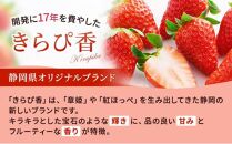 いちご キラッと輝くいちご きらぴ香 2パック 果物 イチゴ 苺 おやつ ギフト 贈答品 お祝い 5000円 高級 国産 静岡 フルーツ くだもの