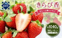 いちご キラッと輝くいちご きらぴ香 2箱 4パック 果物 イチゴ 苺 おやつ ギフト 贈答品 お祝い プレゼント 高級 国産 静岡 フルーツ くだもの