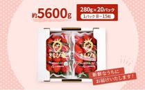 いちご キラッと輝くいちご きらぴ香 10箱 20パック 大粒 果物 イチゴ 苺 国産 ギフト 贈答品 お祝い プレゼント フルーツ くだもの 冷蔵