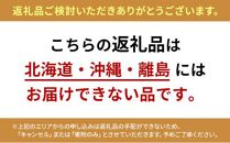 【2024年10月より順次発送】家康に愛され、献上された幻の折戸なす【配送不可：北海道・沖縄・離島】