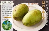 【2025年9月中旬頃より発送】ポポー 約1kg【受取日事前打合せ可能な方限定】【配送不可：離島】幻の果実 レア フルーツ ポポー 健康 美容 美肌 ファーム池の沢 静岡市