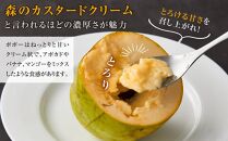 【2025年9月中旬頃より発送】ポポー 約1kg【受取日事前打合せ可能な方限定】【配送不可：離島】幻の果実 レア フルーツ ポポー 健康 美容 美肌 ファーム池の沢 静岡市