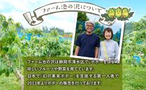 【2025年9月中旬頃より発送】ポポー 約1kg【受取日事前打合せ可能な方限定】【配送不可：離島】幻の果実 レア フルーツ ポポー 健康 美容 美肌 ファーム池の沢 静岡市