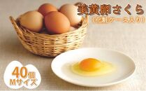 美黄卵さくら 40個化粧ケース入り（35個＋破損保障5個）【配送不可：沖縄・離島】鶏卵 たまご