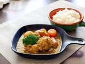 【お中元/熨斗あり】JS04ごろごろチキンの和風カレー200g【6個セット】