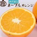 ＜2月より発送＞家庭用 ネーブルオレンジ3kg+90g（傷み補償分）【訳あり・わけあり】【光センサー選別】