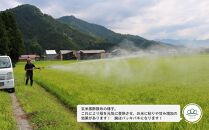 【令和8年産新米予約】精米5kg&nbsp;南魚沼産ゆうだい21【令和8年10月中旬から1ヶ月以内に順次発送予定】・農家直送_AG