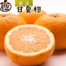 ＜4月より発送＞厳選 甘夏柑5kg+150g（傷み補償分）【初夏のみかん・旬の果物】【有田産】【光センサー食べ頃出荷】