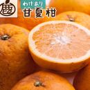 ＜4月より発送＞家庭用 甘夏柑9kg+270g（傷み補償分）【初夏のみかん・旬の果物】【有田産】【光センサー食べ頃出荷】【わけあり・訳あり】