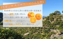 和歌山県産 有田みかん 家庭用　3kg　味重視