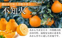 【間もなく発送開始】不知火&nbsp;約5kg&nbsp;手選別&nbsp;熟練の技&nbsp;ヤマヒラ農園&nbsp;ORYY推奨